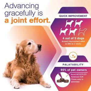 Friandises à Mâcher Bio Hypoallergéniques pour Chiens (OEM/ODM Marque Privée) - Soulagement Douleur, Apaisement Cutané, Probiotiques, Sans Céréales, Riches en Protéines - Product Image 5