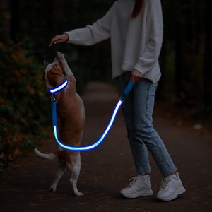 New Arrival Wholesale Illuminating Walking Night Glowing USB Rechargeable Led <b>Dog</b> Leash - Product Image 6