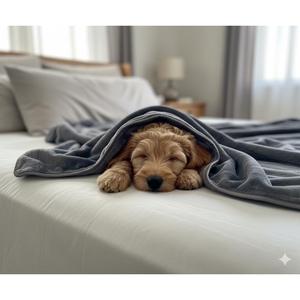 Coperta per animali domestici Yommy, morbida, leggera, calda, con stampa a zampa, lavabile, coperta invernale per cani e gatti - Product Image 2