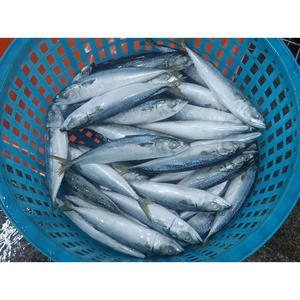 Maquereau du Pacifique entier congelé 300-400g - Product Image 5