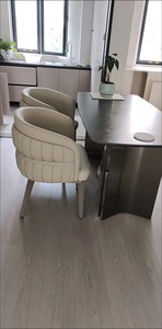 Silla de Comedor Zxm de Lujo Ligero, Moderna y Minimalista para Salón de Uñas, Muebles para Sala de Espera con Asiento Atmosférico - Product Image 6