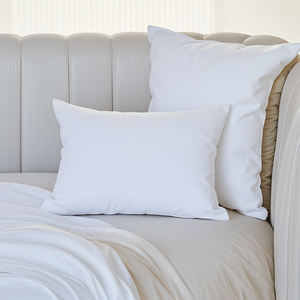 OEM ODM bantal Sofa poliester putih Super lembut pendukung punggung teknik jahit untuk berkemah perawatan kursi membaca penggunaan sandaran tempat tidur - Product Image 1