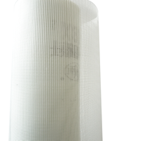 "Fibre de verre Maille Tissu Fibre De Verre Rouleau Fil Orange Eifs Prix Mur Alcali Résistant Béton Mosaïque Tissu Plâtre Net 160g