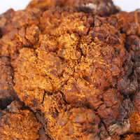 Bai Hua Rong, herbe chinoise, champignon Chaga entier séché, thé en vrac, thé santé