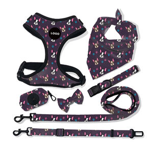 Cablaggio del cane 2020 Nuovo Traspirante Regolabile Step-in Modo di Arrivo Non Tirare A Rete di <span class=keywords><strong>Nylon</strong></span> Riflettente Personalizzato A Sgancio Rapido - Product Image 1