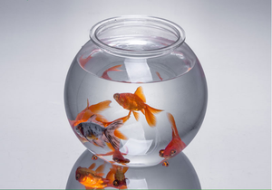 Plastic Juice <strong>Bowl</strong> Drink <strong>Bowl</strong> <strong>With</strong> <strong>Straw</strong> Plastic Fish Tank Fish <strong>Bowl</strong> - Product Image 4
