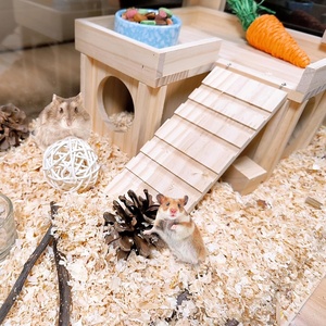 JTPAWS - Cachette moderne en bois pour hamster d'extérieur avec échelle et plateforme amovible - Accessoires de <span class=keywords><strong>cage</strong></span> en bois pour petits animaux - Product Image 2