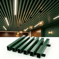 Techos Artísticos Rectangulares de Aluminio Light Beauty con Tubo de Deflector, Ignífugos, Insonorizantes, de Clase Artística, que Reducen la Carga del Edificio, Grandes