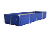 Grande piscine rectangulaire pliante pour la famille, baignoire à cadre en plastique de couleur bleue ou personnalisée de 0.60mm
