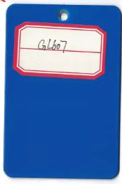 GL607
