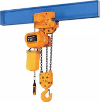 Kualitas Terbaik Harga Terjangkau Fleksibel Tahan Lama 3 Ton Electric Chain Hoists