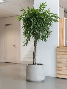 Architectural Heavy Duty Vietnam Concrete Planter Commercial Public Space Cement <b>Tree</b> <b>Pot</b> Urban Landscape Manufacturer - Product Image 4