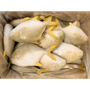 Pesce Pomfret Dorato Cinese a Basso Prezzo, <span class=keywords><strong>Pompano</strong></span> Dorato Congelato - Product Image 1