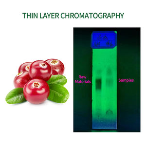 Порошок для фруктов, антоцианидин, фруктовый ароматизатор, пищевые добавки, экстракт черники, порошок - Product Image 2