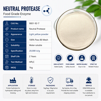 Protease neutre, proteinase neutre, enzyme protéolytique, enzyme de hydrolyse des protéines, préparation pour la fabrication industrielle