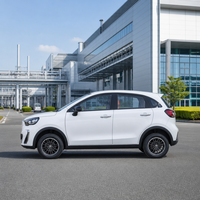 SUV électrique compact pour ville, petite taille, 5 portes, véhicule à énergie nouvelle, stationnement facile, conduite à gauche/droite, voiture électrique
