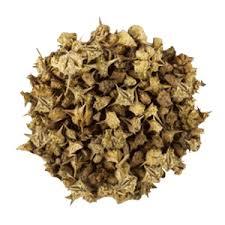 Extracto de hierbas de semilla de Tribulus Terrestris de grado alimenticio más vendido, Extracto de planta artesanal de tambor de fruta Gokhru indio fresco - Product Image 2