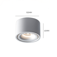 Plafonnier LED ultra-plat 10W AC100~240V à montage en surface, sans perçage, pour salons et projets de plafond