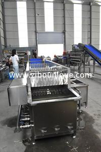 Machine automatique de lavage à bulles pour pousses de légumineuses et luzerne - Product Image 3
