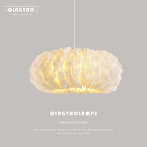 Trendy Nordic Style Feather Pendant <b>Light</b> for Girls Bedroom Dressing Room & Study for Home Use - Product Image 2