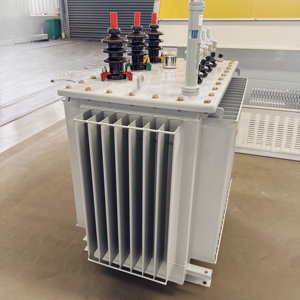 Transformateur de distribution de puissance triphasé immergé dans l'huile, norme IEC, 11 kV 100 kVA, pour réseau intelligent, moyenne et haute tension, S11/S3 E - Product Image 2