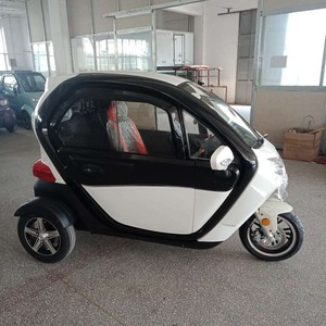 Triciclo Eléctrico Cerrado de 3 Plazas, 1000W, Vehículo de Movilidad para Adultos - Product Image 1