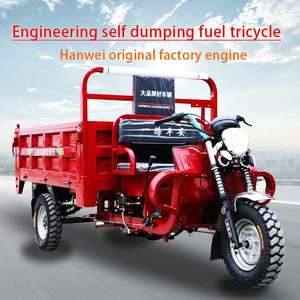Potente Transportador <span class=keywords><strong>de</strong></span> Frutas <span class=keywords><strong>de</strong></span> 200cc con Opción <span class=keywords><strong>de</strong></span> Cabina Cerrada, Triciclos a Gasolina - Product Image 4