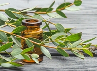Huile essentielle d'eucalyptus de qualité supérieure 100% pure eucalyptus globulus distillée à la vapeur pour diffuseurs massage et soulagement respiratoire