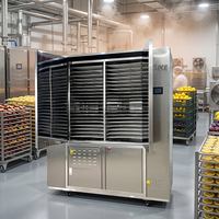 Industriële pruimen- en citroen-droogmachine, commerciële warmtepomp-dehydrator