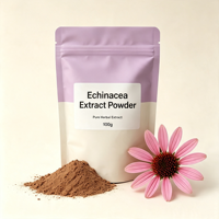 Extrait de Poudre de Plante d'Échinacée Purpurea de Qualité Alimentaire Naturelle, Fourniture d'Usine, pour la Fabrication de Boissons et de Produits Nutritionnels
