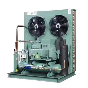 High quality Bizer compressor condensing unit