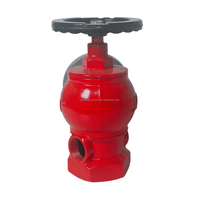 Hidran Kebakaran Dalam Ruangan Rotary Wanlian SNZ65-Y, 2.5" DN65, Besi Daktile dengan Lapisan Powder Coating, Dilengkapi Port Gulungan Selang