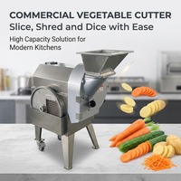 Elektrische groentesnijder, voedselverwerker voor mango, fruit, kool en wortel.