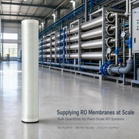 Membrane RO industrielle 4040 / 8040 à haute réjection pour systèmes de traitement de l'eau, vente en gros d'usine OEM ODM