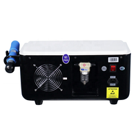 Vet Equine Shock Wave et Air Pression Shockwave Chiropractic Spine Medical Physiotherapy Equipment