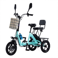 Tricycle électrique à boîte amovible, 20 pouces, 350W, 36V, 48V, avec assistance au pédalage, unisexe, adulte, fourche en acier, vélo cargo