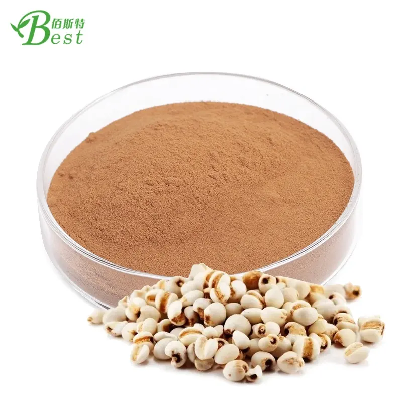 Best Semen Coicis Powder/Coix Seed Extract 20:1