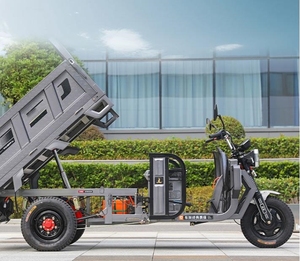 Tricycle électrique cargo pour adultes 1000W, certifié CCC, fabriqué en Chine - Product Image 6