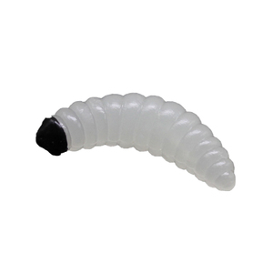 Customs queue courte souple asticot grub leurre ver silicone appâts de pêche leurre 100pcs <span class=keywords><strong>2</strong></span>.4cm 0.5g asticot Grub souple leurre appâts vers Glo - Product Image 6