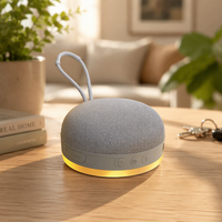 Haut-parleur portable en forme de disque étanche, anti-poussière et résistant aux chutes, avec basses puissantes, fente pour carte, RGB, batterie 1000-2000 mAh