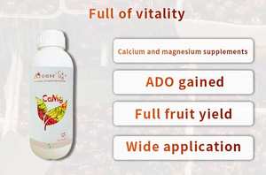 Dora Kelp CaMg + Biostimulant gübre organik kalsiyum magnezyum enzimatik deniz yosunu ekstresi ile Chelated - Product Image 4