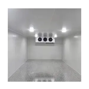 Cámara frigorífica con unidad de refrigeración/unidad de almacenamiento en frío/contenedor de nevera de entrada Bomba de vacío Bomba de refrigeración proporcionada 100 - Product Image 1