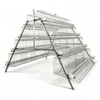 Offre Spéciale : Cage à poules pondeuses durable de type A, galvanisée à chaud