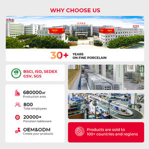 Vajilla de cerámica hecha a mano WEIYE PARA CENA, pasta, espagueti, ensalada, postre, plato frío, plato en forma de roca, restaurante, porcelana - Product Image 6