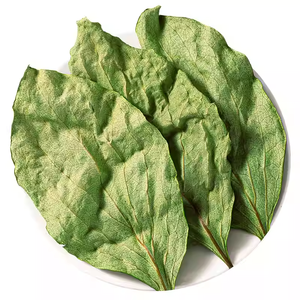 Daun Kesemek Kering Harga Pabrik Shi Zi Ye, Daun Teh Herbal Cina, Daun Kesemek Kering