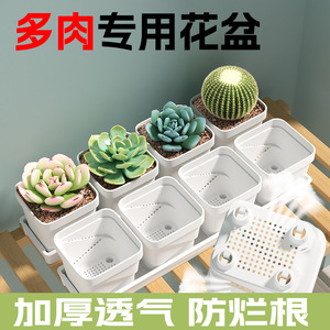 Macetas para Suculentas Qinfeng de 7.5cm, Macetas de Plástico Blancas para Escritorio, Jardinería en Casa, Juego de 4 Mini Macetas para Flores - Product Image 5