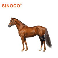 Appareil de photothérapie LED infrarouge à lumière rouge pour la physiothérapie des jambes de chevaux et de chiens, 5W, pour la récupération des tensions musculaires, la cicatrisation des plaies et le soulagement de la douleur