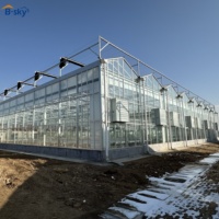 Sistema de Invernadero de Vidrio Multi-Span Venlo para Cultivo Hidropónico de Vegetales y Flores