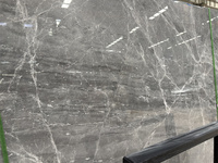 Carreaux de sol en marbre gris élégant, marches d'escalier, panneaux muraux, grandes dalles en marbre gris argenté pour la décoration intérieure