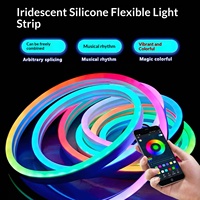 Bande lumineuse LED RGB flexible en silicone 12V IP67, étanche, extérieure, basse tension, télécommandée, effet de poursuite/défilement